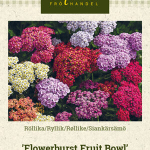 Siankärsämö 'Flowerburst Fruit Bowl'