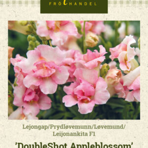 Leijonankita F1 'DoubleShot Appleblossom'