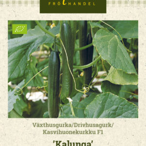 Kasvihuonekurkku F1 'Kalunga'