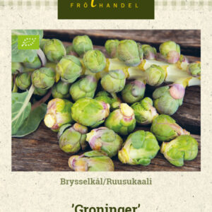 Ruusukaali 'Groninger'