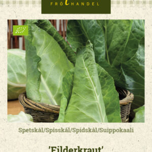 Suippokaali 'Filderkraut'