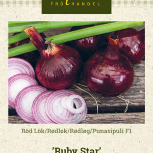 Punasipuli F1 'Ruby Star'