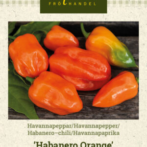 Havannapaprika 'Habanero Orange'