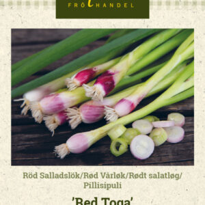 Pillisipuli 'Red Toga'