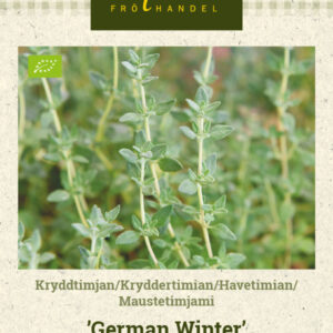 Maustetimjami 'German Winter'