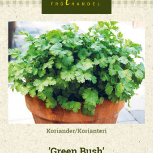 Korianteri 'Green Bush'