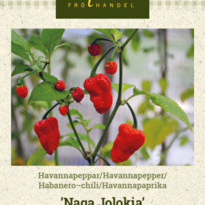 Havannapaprika 'Naga Jolokia'