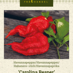 Havannapaprika 'Carolina Reaper'