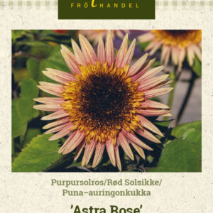 Puna-auringonkukka 'Astra Rose'