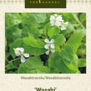 Wasabirucola 'Wasabi'