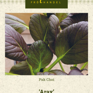 Pak Choi 'Arax'