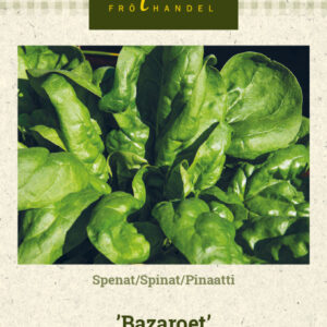 Pinaatti 'Bazaroet'