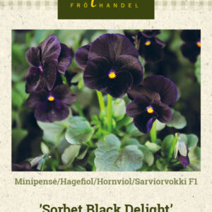 Sarviorvokki F1 'Sorbet Black Delight'