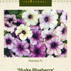 Petunia F1 'Shake Blueberry'