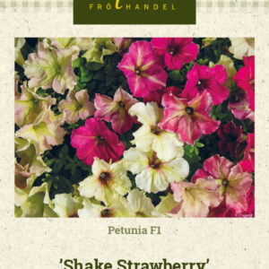 Petunia F1 'Shake Strawberry'