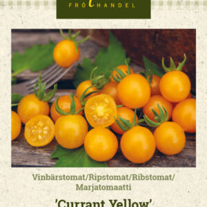 Marjatomaatti 'Currant Yellow'