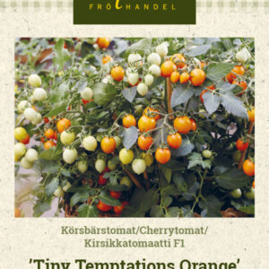 Kirsikkatomaatti F1 'Tiny Temptations Orange'