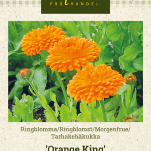 Tarhakehäkukka 'Orange King'