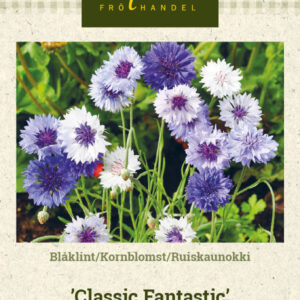 Ruiskaunokki 'Classic Fantastic'