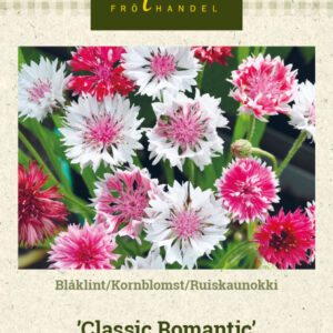 Ruiskaunokki 'Classic Romantic'