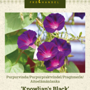 Aitoelämänlanka 'Knowlian's Black'