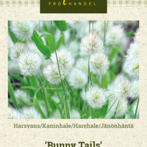 Jänönhäntä 'Bunny Tails'