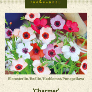 Punapellava 'Charmer'