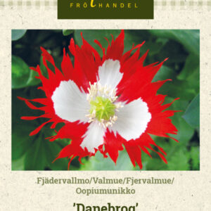 Oopiumunikko 'Danebrog'