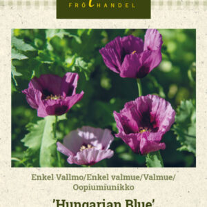 Oopiumiunikko 'Hungarian Blue'