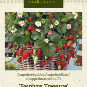 Amppelimansikka F1 'Rainbow Treasure'