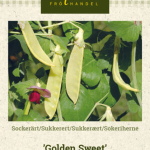 Sokeriherne 'Golden Sweet'