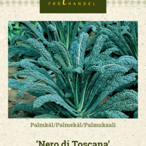 Palmukaali 'Nero di Toscana'