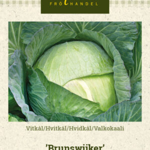 Valkokaali 'Brunswijker'