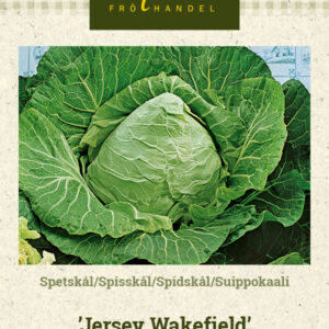 Suippokaali 'Jersey Wakefield'