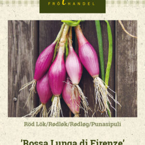 Punasipuli 'Rossa Lunga di Firenze'