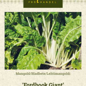 Lehtimangoldi 'Fordhook Giant'