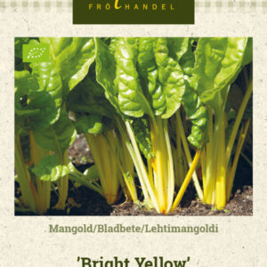 Lehtimangoldi 'Bright Yellow'