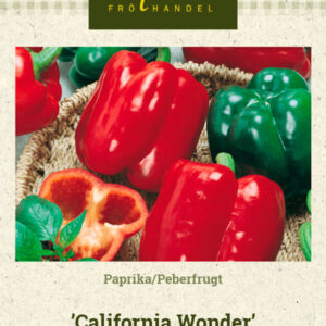 Paprika 'California Wonder'