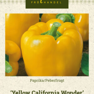 Paprika 'Yellow California Wonder'