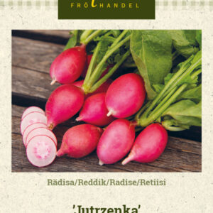 Retiisi 'Jutrzenka'