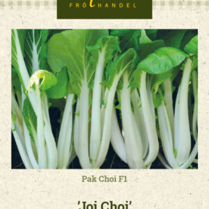 Pak Choi F1 'Joi Choi'