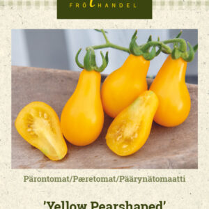 Päärynätomaatti 'Yellow Pearshaped'