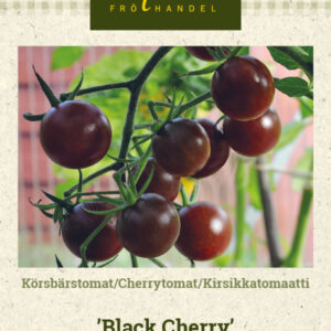 Kirsikkatomaatti 'Black Cherry'