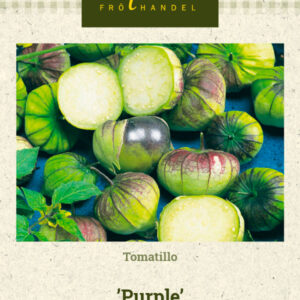 Tomatillo 'Purple'