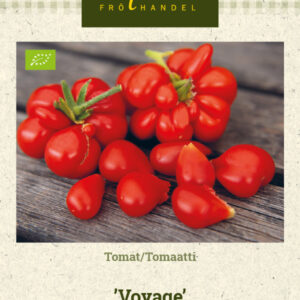 Tomaatti 'Voyage'