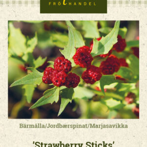 Marjasavikka 'Strawberry Sticks'