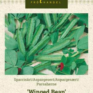 Parsaherne 'Winged Bean'